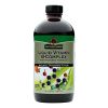 Nature's Answer - Liquid Vitamin B-Complex - 16 fl oz