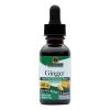 Nature's Answer - Ginger Root Alcohol Free - 1 fl oz