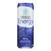 Steaz Energy Drink - Berry - Case of 12 - 12 Fl oz.
